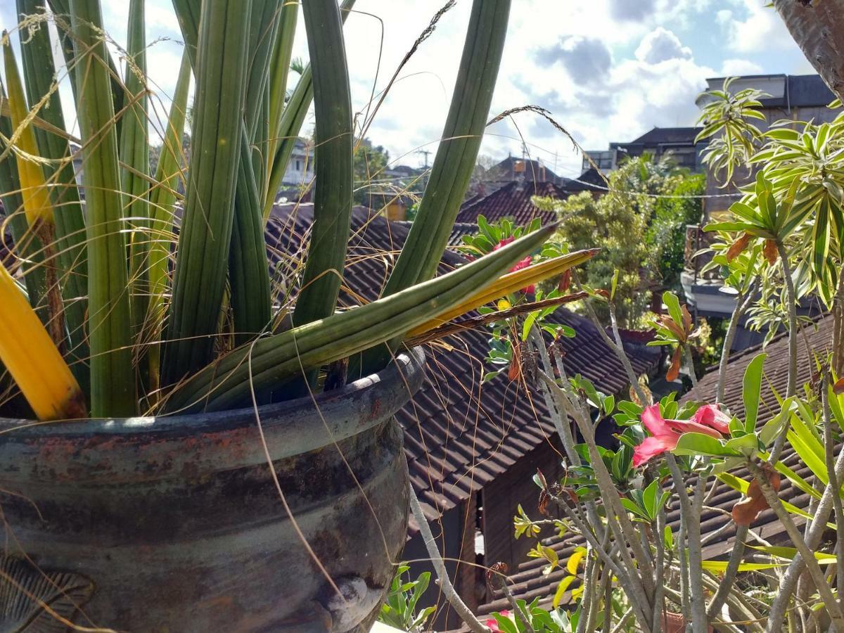 Puri Asri Ubud